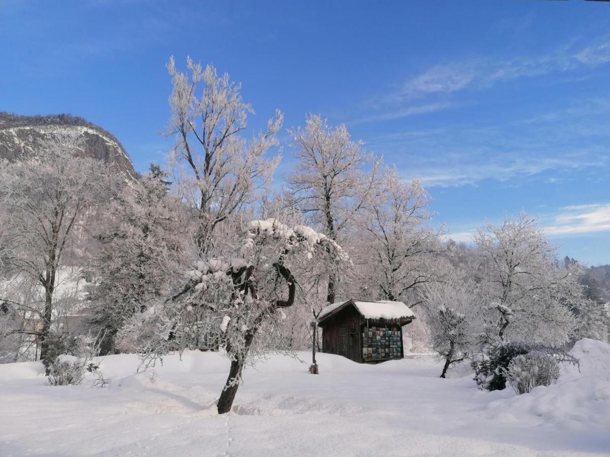 Apartma In Sobe Pr'Objan Bohinj Buitenkant foto